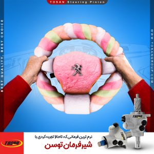 شیر فرمان توسن